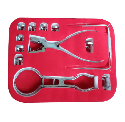 Rubber dam set