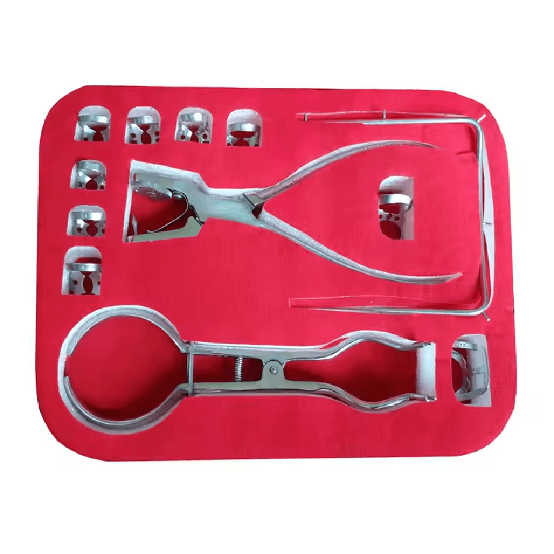 Rubber dam set