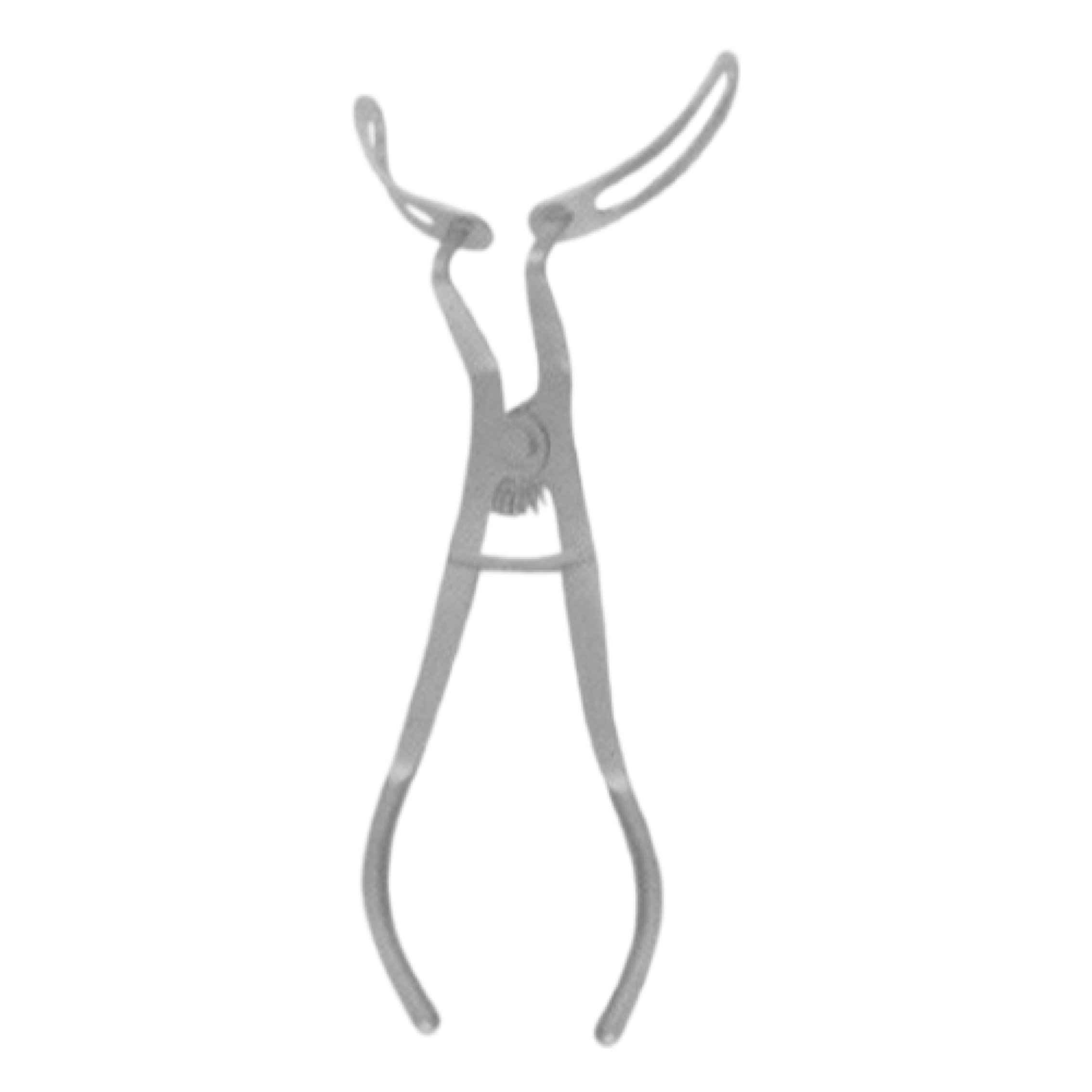 Ivory Retractor