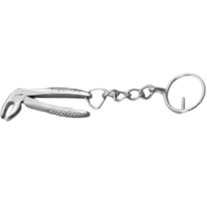 Key chains (2)