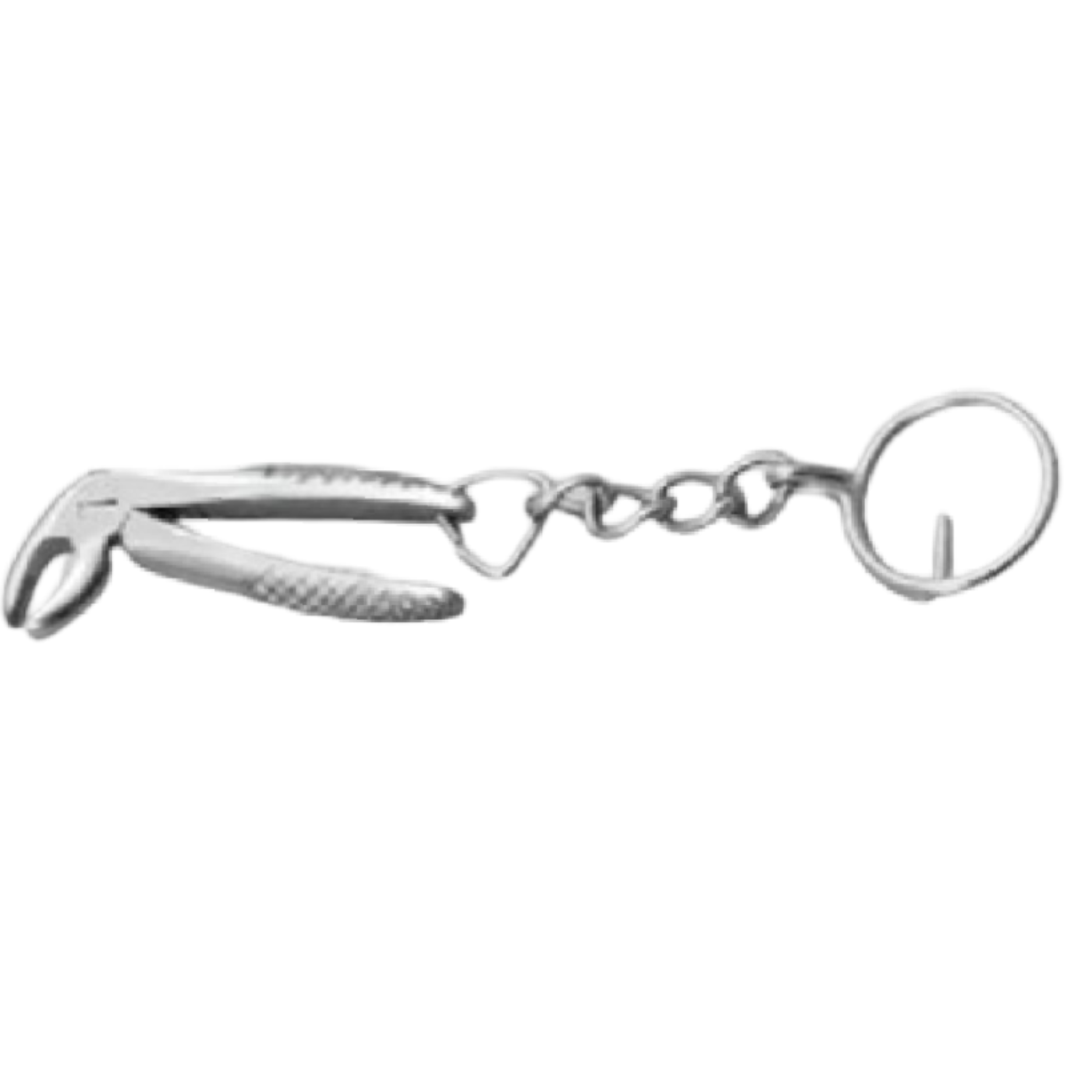 Key chains (2)