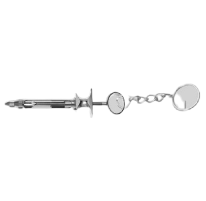 Key chains (6)