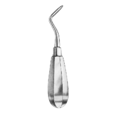 Root elevator Flohr