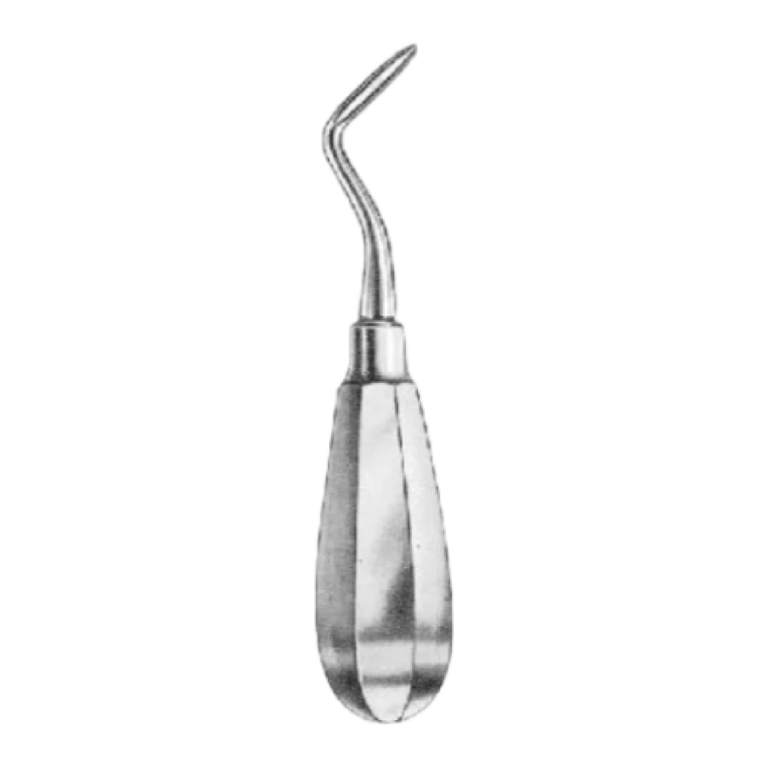 Root elevator Flohr